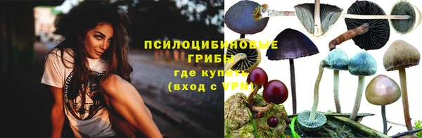первитин Инсар