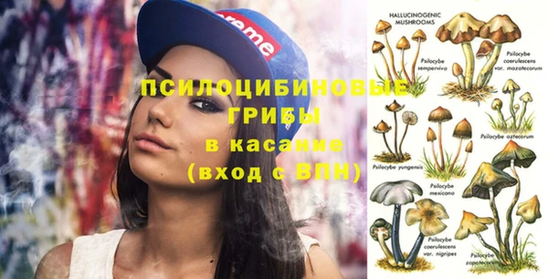 первитин Инсар